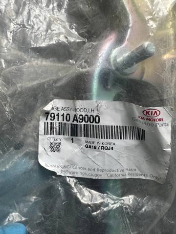 Петля капота, ліва Hyundai/Kia 79110A9000 ціна, від 35.91 USD