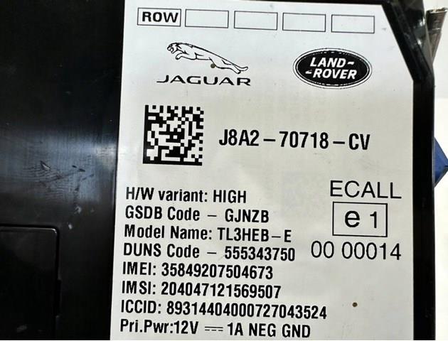 T4A14246 Jaguar 