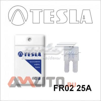 FR225A Tesla 