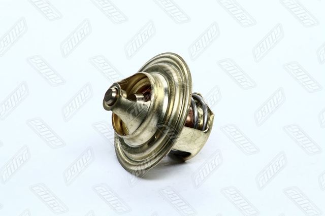 Термостат в зборі Rider RD1517141087