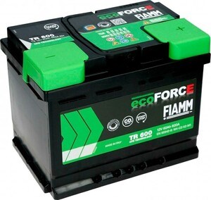 7906488 Fiamm 