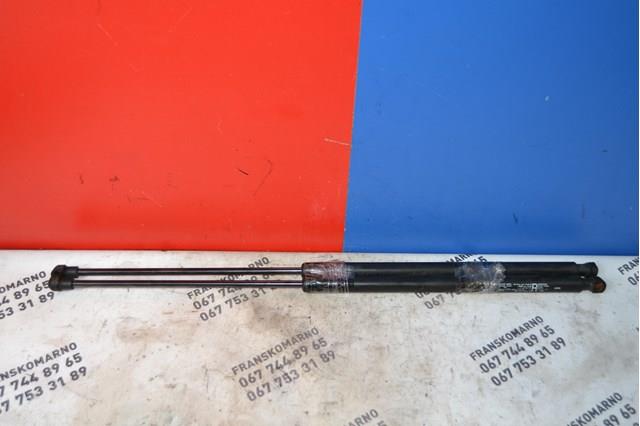 Амортизатор багажника 904505599R Renault (RVI)