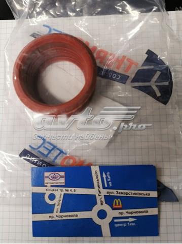 DCB055TT Thermotec Прокладка турбіни, гнучка вставка