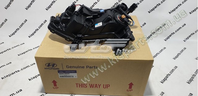 Купити 922022W520 Hyundai/Kia Протитуманка права