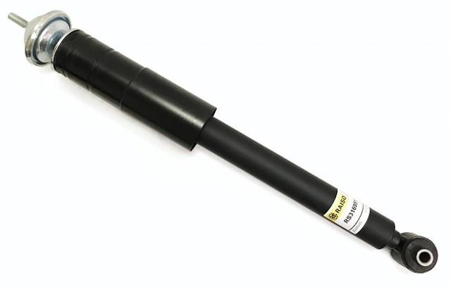 Амортизатор задній Raiso RS316951 ціна, від 42.87 USD