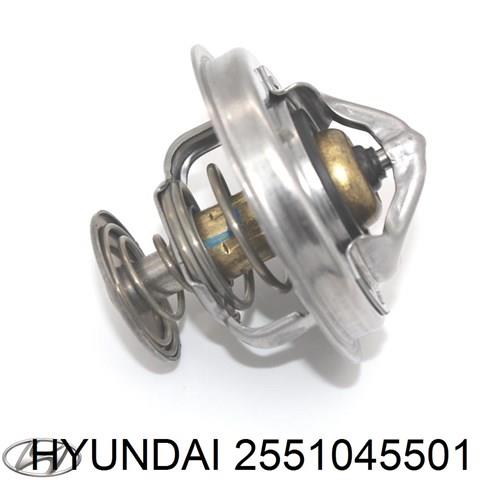 Термостат 2551045501 Hyundai/Kia