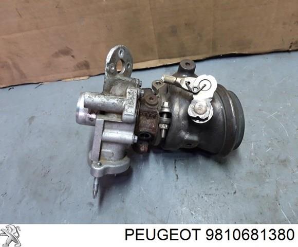  9810681380 Peugeot/Citroen