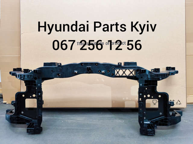 Панель передня Hyundai/Kia 64101BE000 ціна, від 513.81 USD