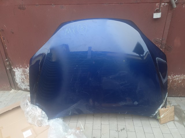 Капот PTS20002A Signeda