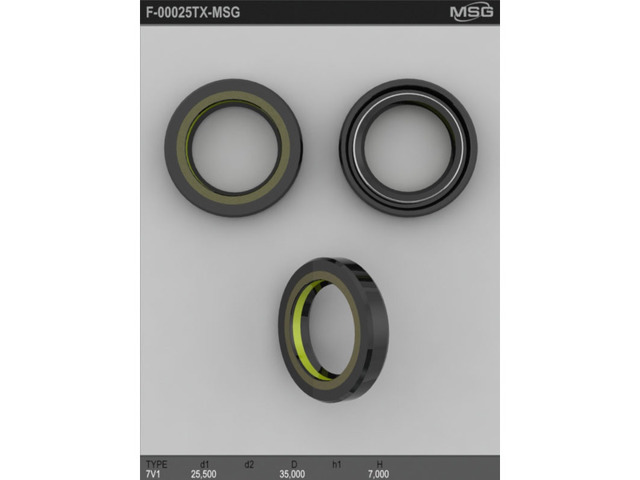  F00024 MSG