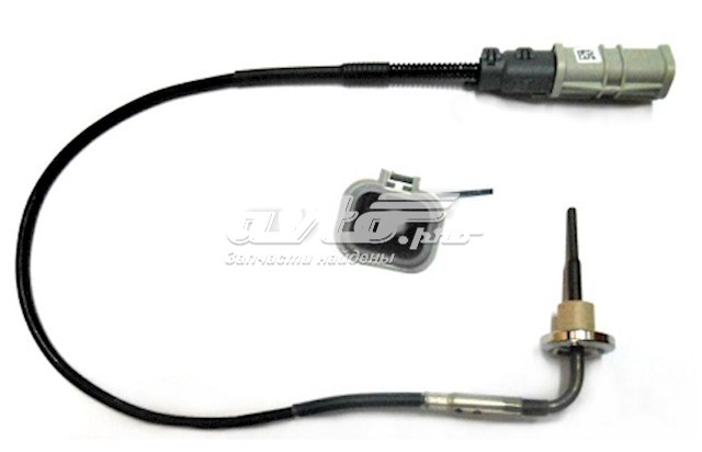 08035200 PE Automotive 