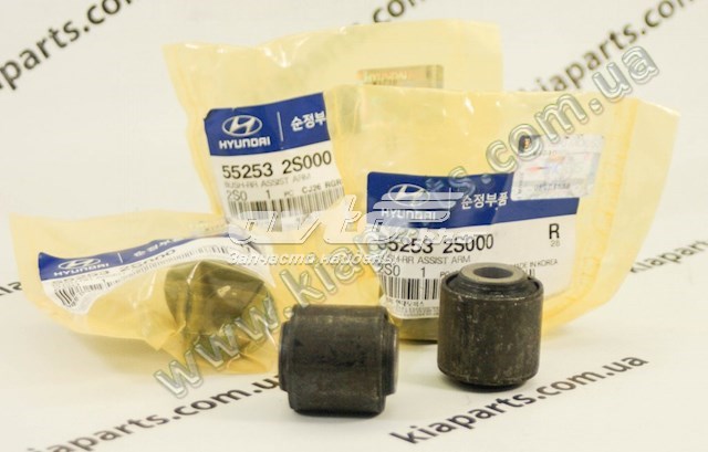 552603R000 TYB Болт кріплення заднього нижнього важеля, внутрішній