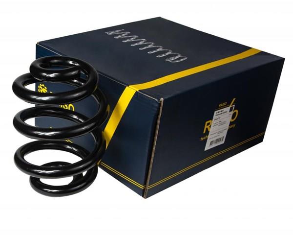 Пружина задня Raiso SR047TP ціна, від 28.31 USD