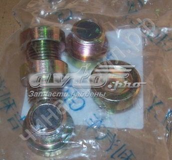  Geely 3170100012