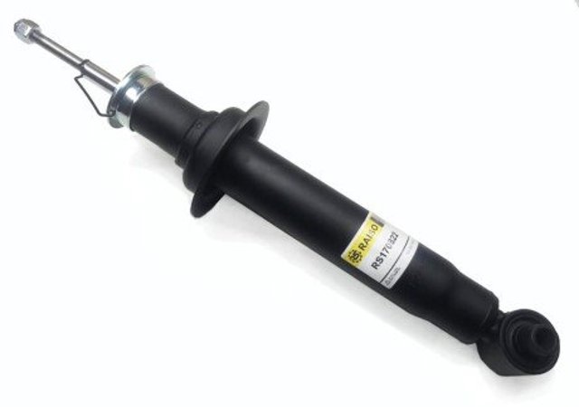 Задній амортизатор Raiso RS170822