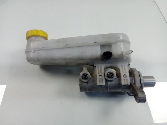 0204255096 Peugeot/Citroen 