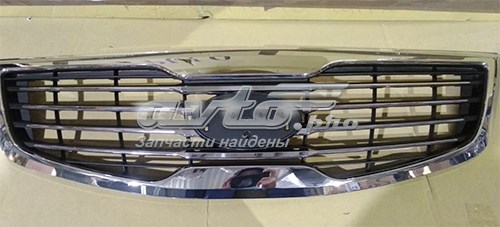FP4024990 FPS Решітка радіатора