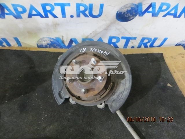 Цапфа - поворотний кулак задній, лівий ALP ALP4230505101