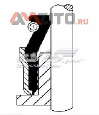 Сальник клапана (маслознімний), впускного Corteco 12030170 ціна, від 1.29 USD