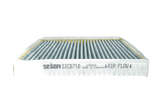 Купити AHC521 Purflux Фільтр салону вугільний