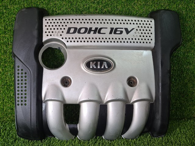 2924025211 Hyundai/Kia Екран двигуна