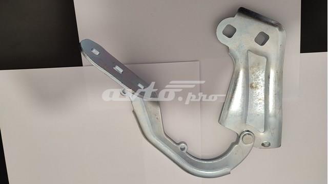 Завіса капота права FPS FP2813452 ціна, від 17.05 USD