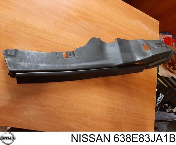  Nissan/Infiniti 638E83JA1B