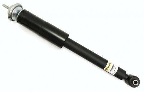 RS316951 Raiso Амортизатори задні