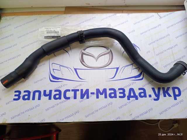 PYFB1518Y Mazda Шланг/патрубок радіатора охолодження, нижній