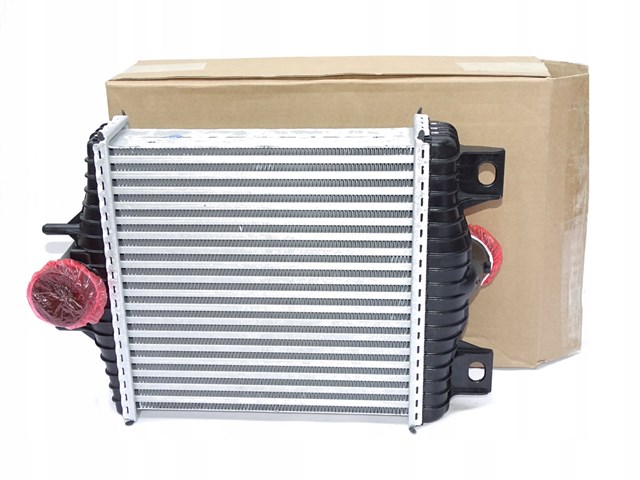  Land Rover CPLA9L440AC