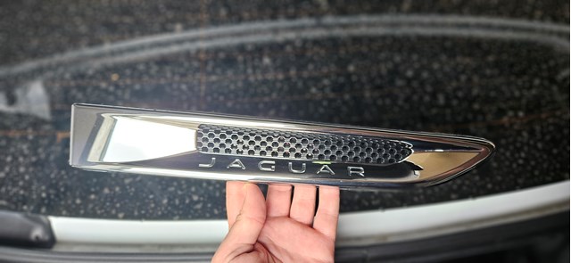  T4N25066 Jaguar