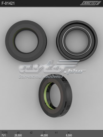  F01421 Emmetec