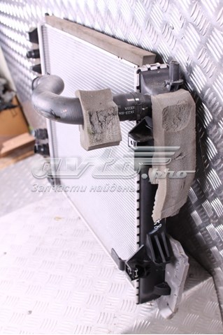 Купити C2Z10787 Jaguar Радіатор двигуна