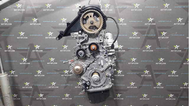 DV4C Peugeot/Citroen Мотор в зборі