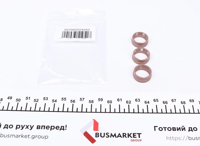 7950024260 Magneti Marelli 
