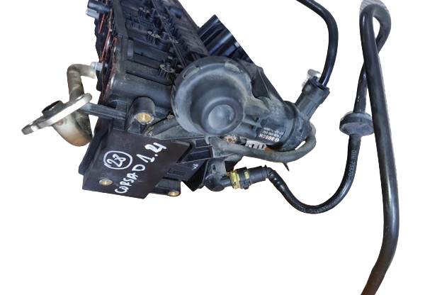 55559829 General Motors 