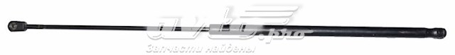амортизатор кришки багажника/ двері 3/5-ї задньої ZS03009 Стійка задніх дверей JAPANPARTS ZS03009