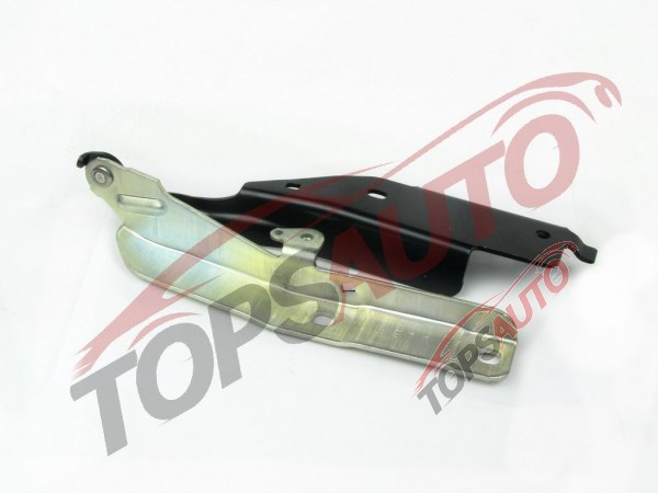 Завіса капота права FPS FP3310286 ціна, від 47.86 USD