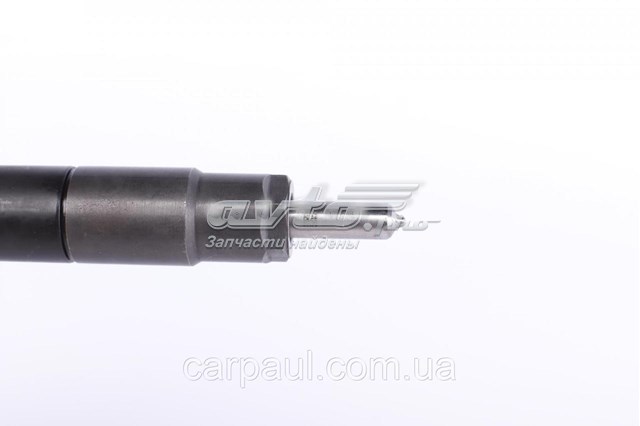Форсунка інжектора Rotweiss 6510704987
