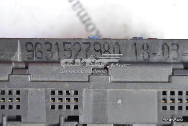  9631527980 Peugeot/Citroen