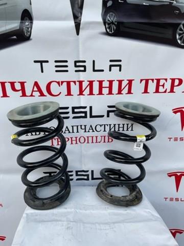 Купити 118847500D Tesla Задні пружини