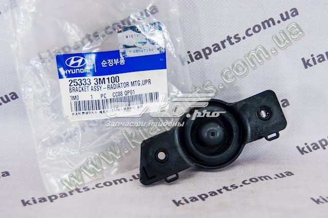 253333M100 Hyundai/Kia 