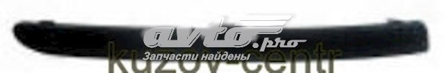 Молдинг переднього бампера, правий FP2556922 FPS