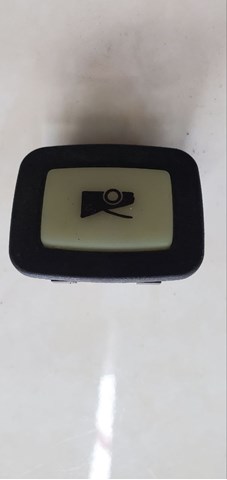 100206600A Tesla Motors 