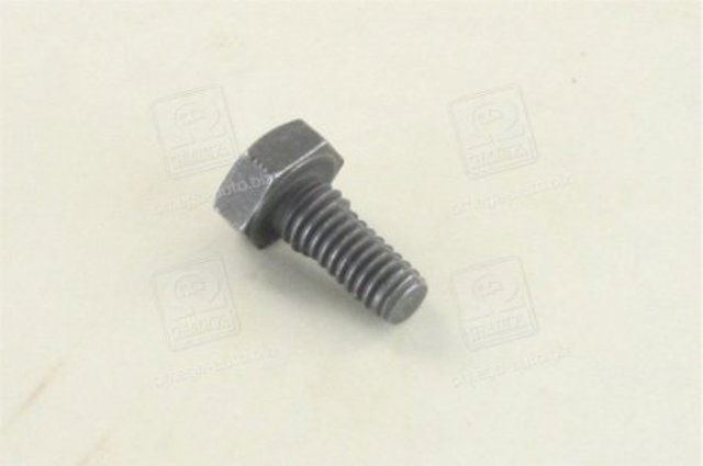 Болт кріплення форсунки 2433456034 Bosch