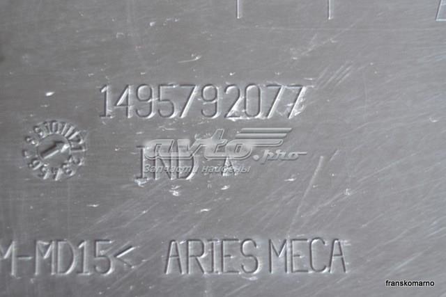  1495792077 Peugeot/Citroen