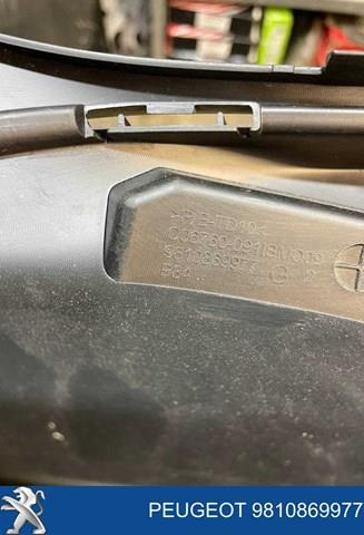 Купити 9810869977 Peugeot/Citroen 