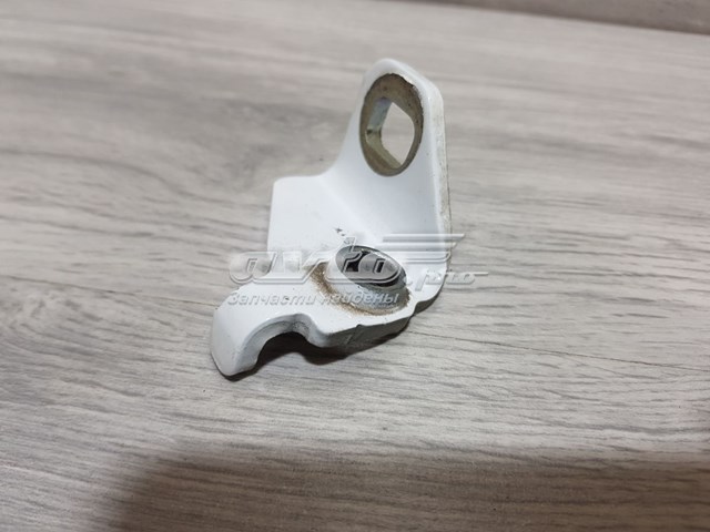 Купити AM51R26811AE Ford Завіса дверей задніх лівих
