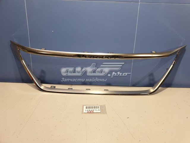 9816441277 Peugeot/Citroen 