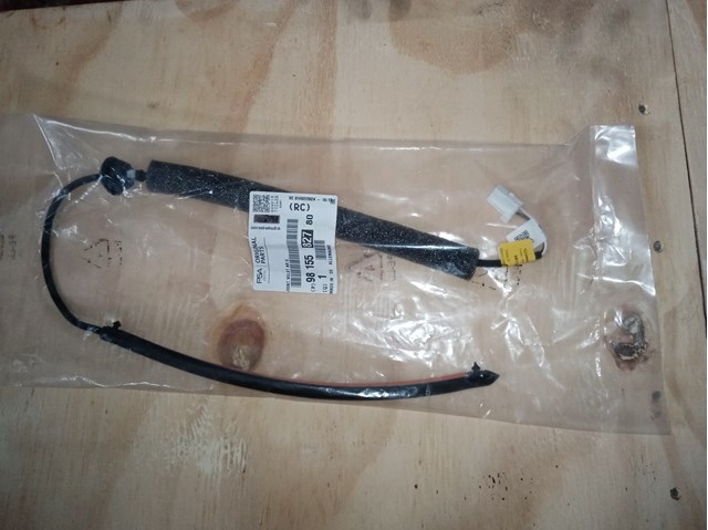 9815582780 Peugeot/Citroen 